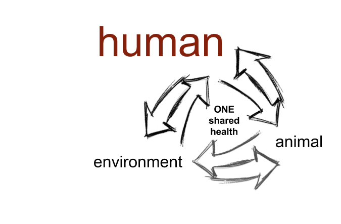 http://www.onehealthag.com/wp-content/uploads/2017/12/Shared-health.human1_.675x473.png